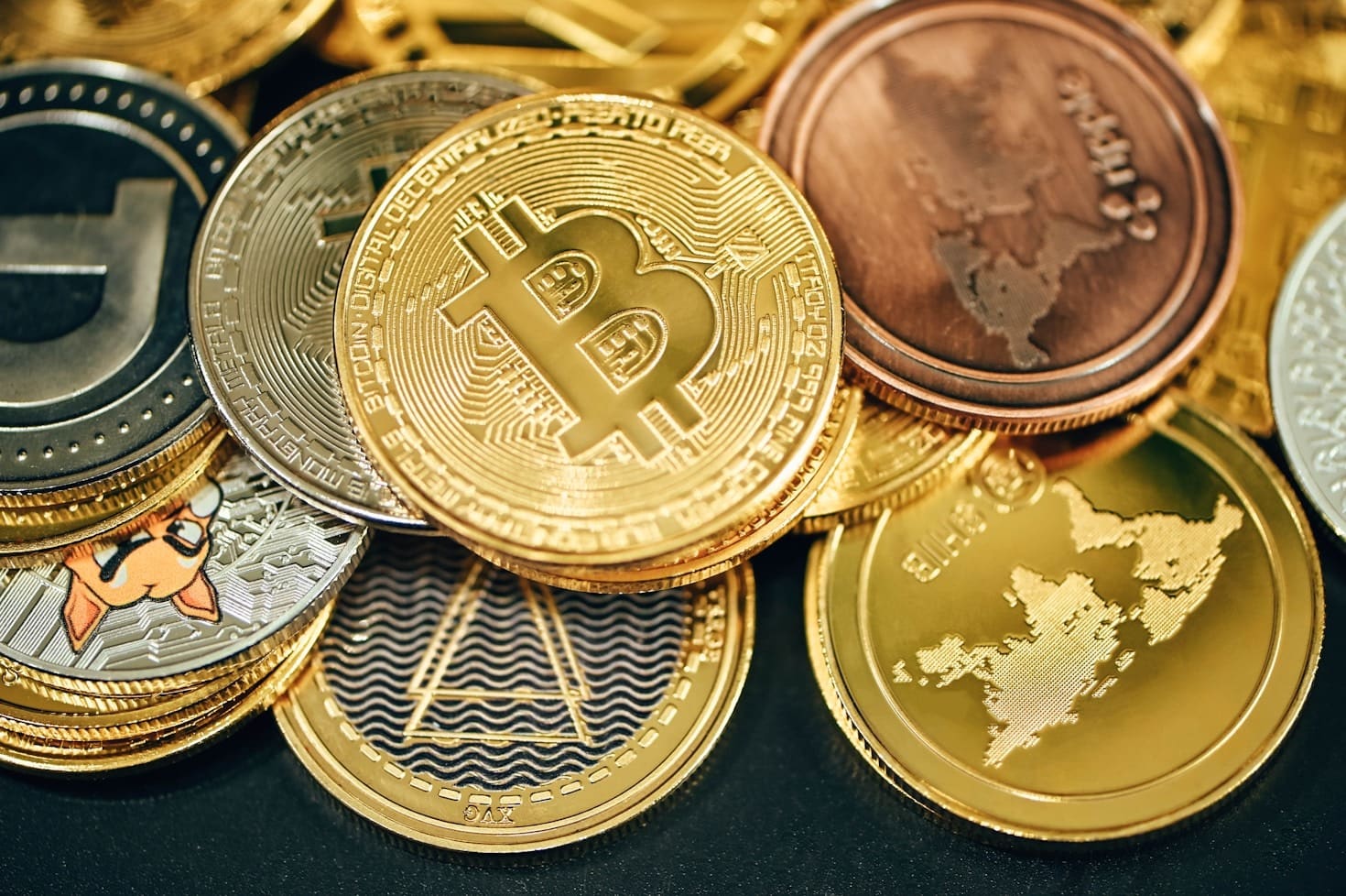 How Tokenomics Help Protect Polar Bears