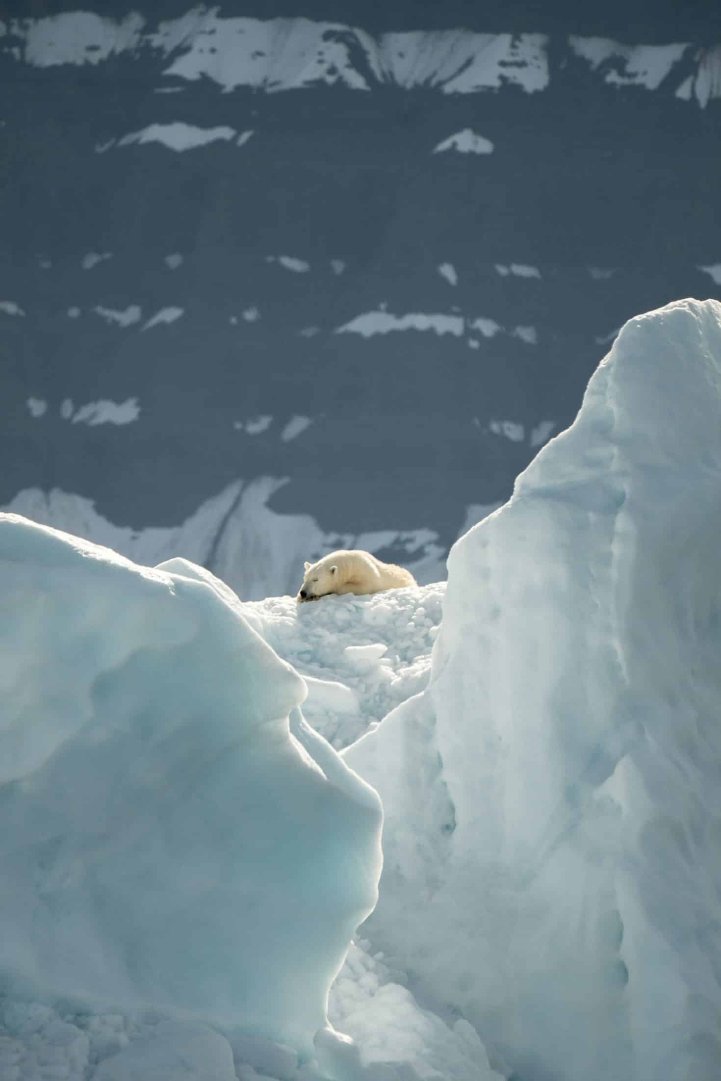 Tracking Global Efforts To Save The Arctic